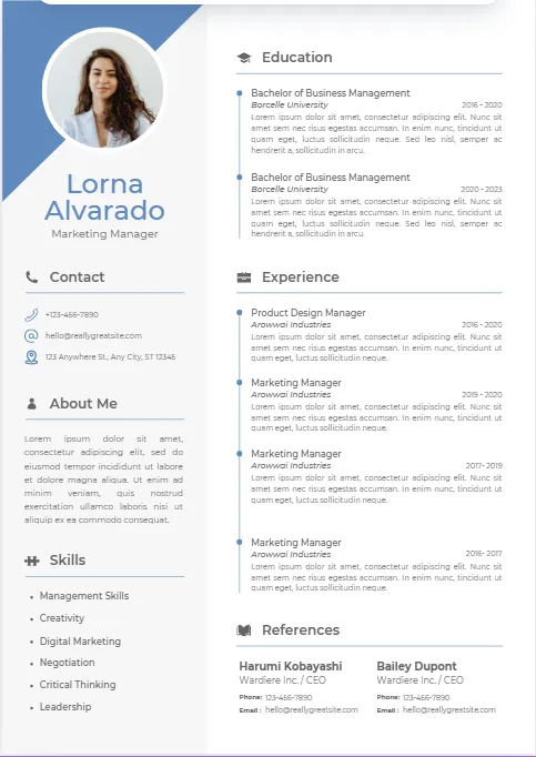 Creative CV Design